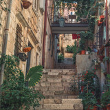 315426678 431792948963307 2709649008915771864 n