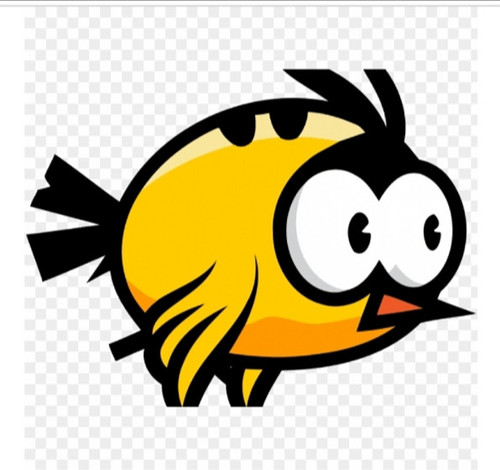 IMG 20250510 011202.jpg