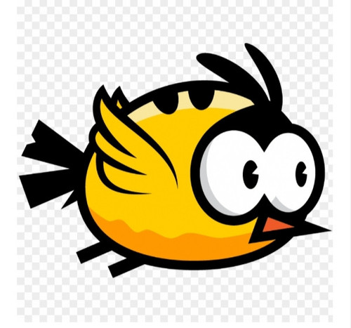 IMG 20250510 004231.jpg