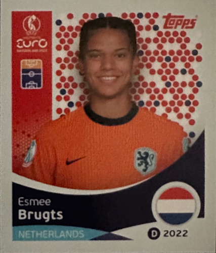 299.jpg
