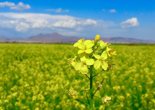 nlYY4jDG2Ili4miciPyBX6J0PymNCCZD6MtiynzkCj5OQvyCuflSuAabsZV4Ij8CIDjdR6c ZekvFATW LcaqB1O9UDB0si sssI.jpg