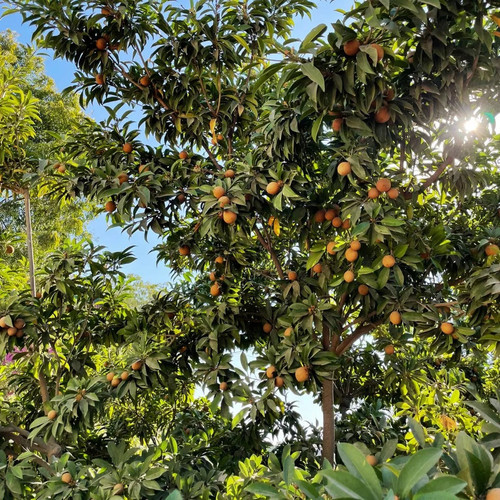 Untitleddesign 96.jpg