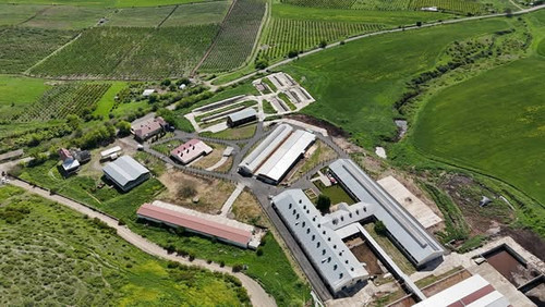 495212782 1242636437216132 5064479241524054134 n.jpg?stp=dst jpg s600x600 tt6& nc cat=107&ccb=1 7& n.jpg