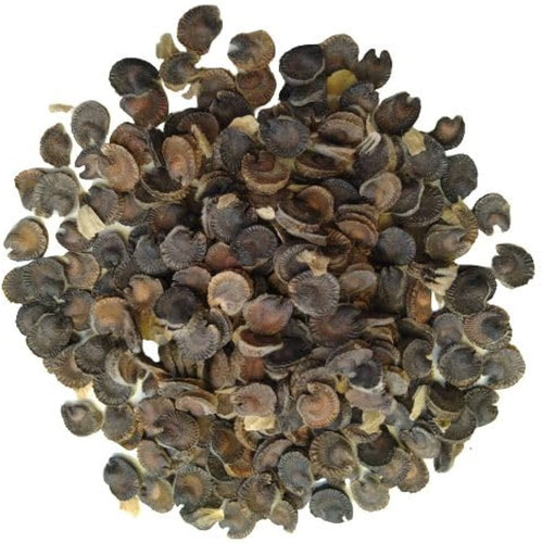 517wVDtgAIL. AC UF1000,1000 QL80.jpg