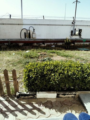 IMG20250508162921.jpg