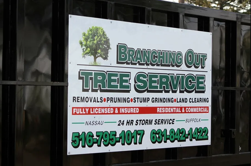 tree pruning.png