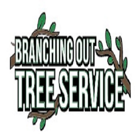 Branching Out Tree Service.jpg