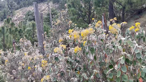 pv lzCnwrGlxiCYv.jpg