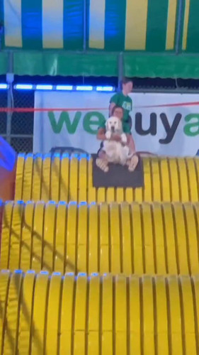 GQ6aw Fw9EFyzTDD.jpg