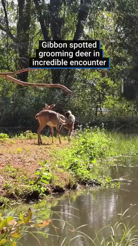 HctT o GFZwlxbIu.jpg