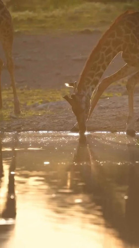 idI r PeJDYwA62S.jpg