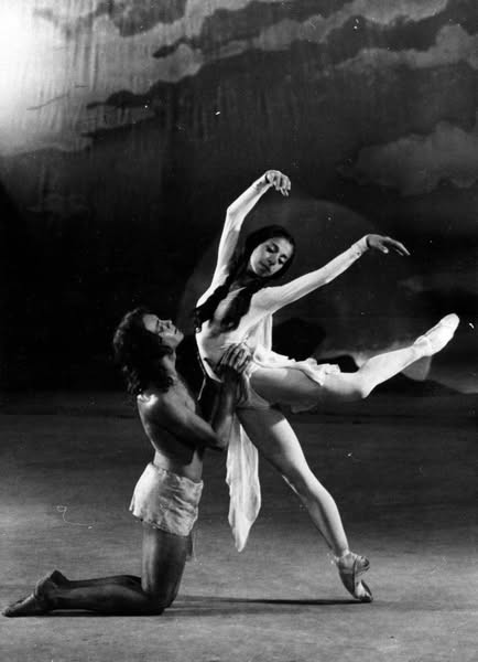 494387326 1008029581419099 3586403256962142460 n.jpg?stp=dst jpg s600x600 tt6& nc cat=102&ccb=1 7& n.jpg