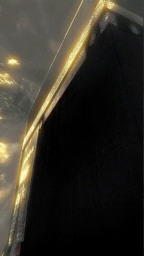 79MT xtR5RrBYvAi.jpg