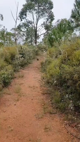 HICD19eM4x8P0UC .jpg