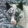 Green filter icon.png