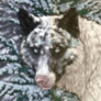 Sepia filter icon.png