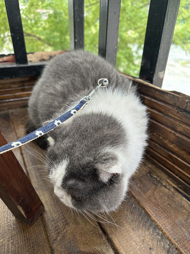 2BC89A0C 4994 4EB7 8A4D 028212AEFF20.jpg