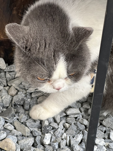 82F0F266 B59A 49F7 A5C5 ADB2A9F92964.jpg