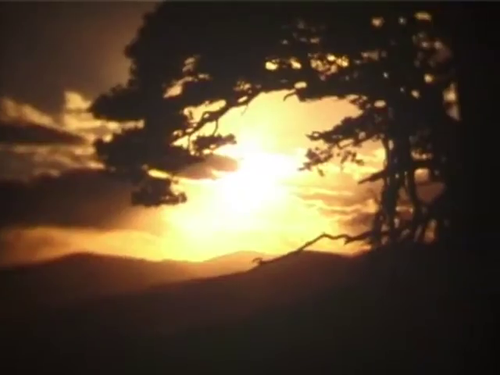 vlcsnap 2025 05 09 22h59m13s154.png