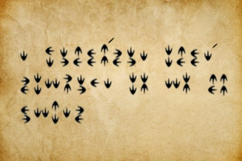 Imagem do WhatsApp de 2025 05 09 à(s) 20.36.59 16ea7655.jpg