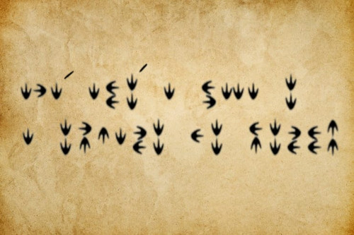 Imagem do WhatsApp de 2025 05 09 à(s) 20.36.59 49dc0edb.jpg