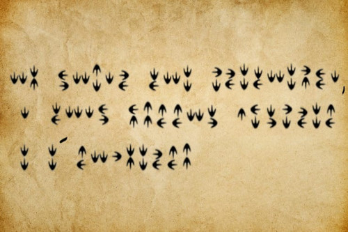 Imagem do WhatsApp de 2025 05 09 à(s) 20.52.14 2b374630.jpg