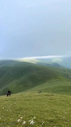 9B4VLZu fOMeffaK.jpg