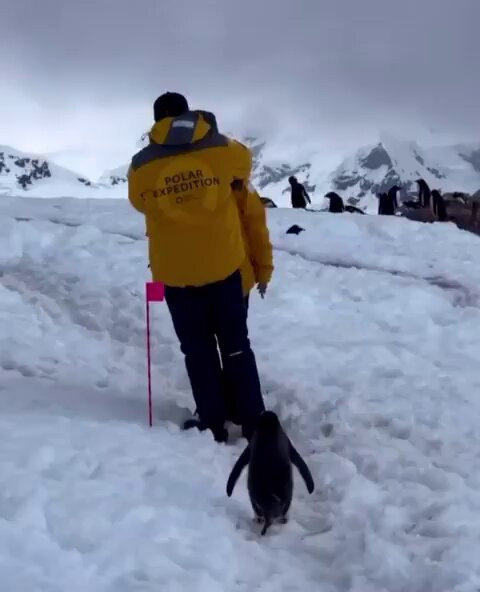 ZyqP1gPMpc bC2hS.jpg