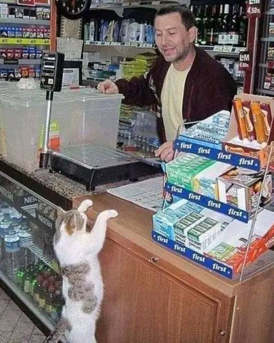 494929040 122098704812863554 3644477823190309693 n.jpg