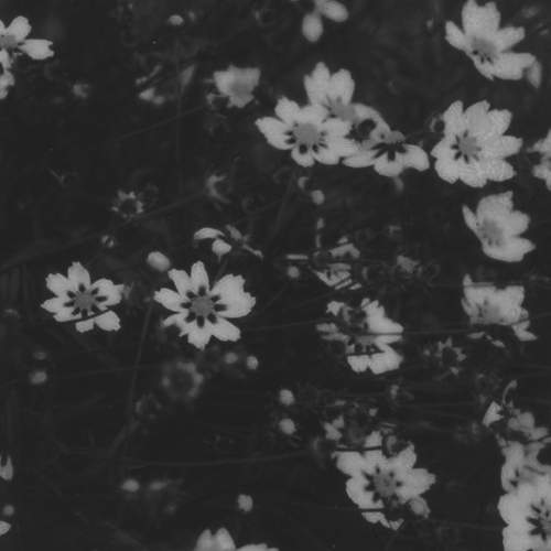 Untitled480 20250509183349.png