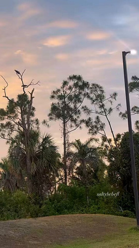 FDGtytV O7Gjjhk4.jpg