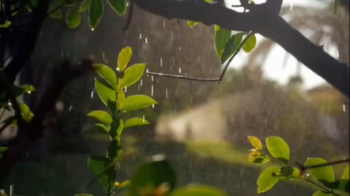 CNFAwbfUMeujx Cq.jpg