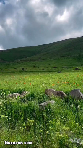 QA2UYhm c01 inY0.jpg