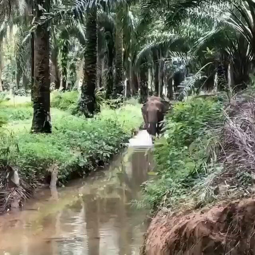 RE 1EtAya2Sx0um6.jpg