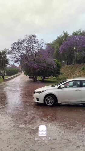 I5IN76H7N x6QZqy.jpg