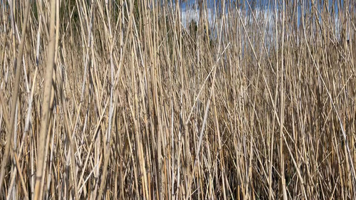 dPjMaYGlb5yaO qf.jpg