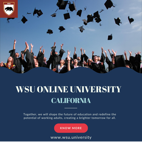 WSU Online University.png