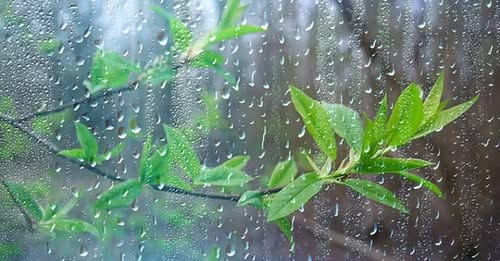 1974797333964129930?url=https%3A%2F%2Ftiv1.am%2Fwp content%2Fuploads%2F2025%2F05%2Fl 0x48wh 810x472z.jpg