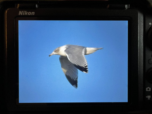 GqdBdrWWYAALdjh.jpg