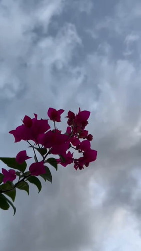 8 ylDfAPuw4Dq9ip.jpg