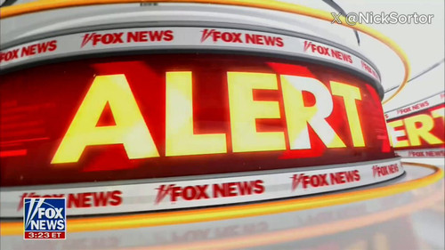 t71bDfS9pfIexF5 .jpg