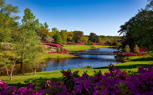 bellingrath gardens alabama landscape scenic 158063.jpg