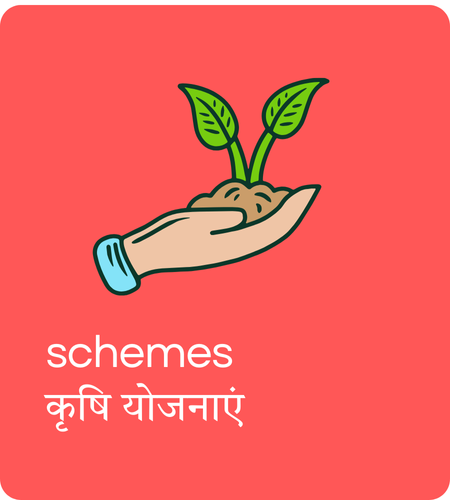 HOME SERVICE (22).png