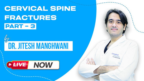 WhatsApp Image 2025 05 09 at 4.11.35 PM.jpg