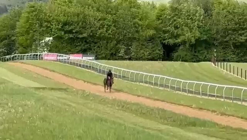 B70 xgSG BWEPgNZ.jpg