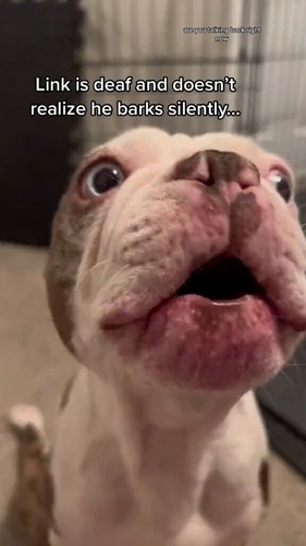 9m0ia2 kDbxWgSBn.jpg