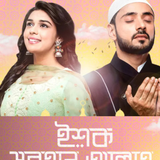 Untitled design (4).png