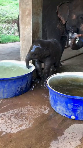 24oLjTml dYX8bpw.jpg