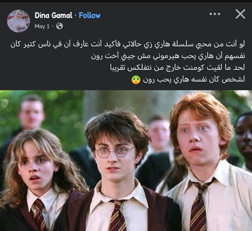 495367398 1238583464293438 6322637146204786195 n (1).jpg