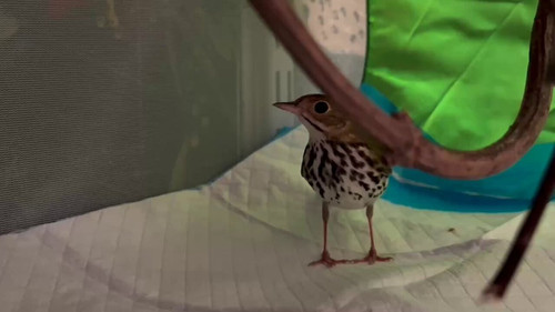 4g W5mU2aanKzoMe.jpg